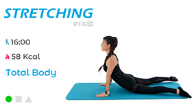 allenamento di stretching total body