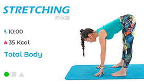 allenamento veloce di stretching per tutto il corpo