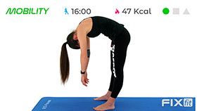allenamento veloce con esercizi di mobilizzazione e stretching per tutto il corpo